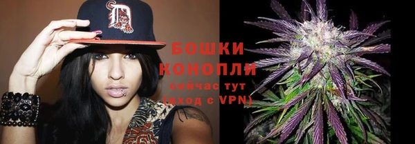 МДПВ Верхний Тагил