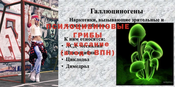 МДПВ Верхний Тагил
